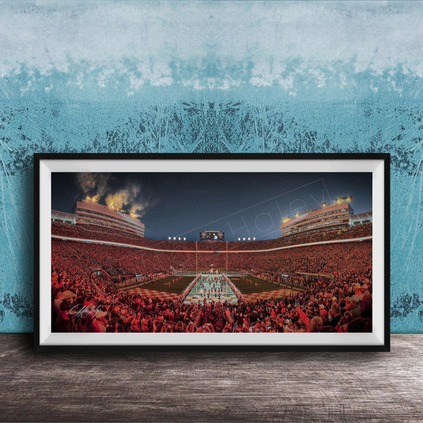 A framed photograph of a crowded sports stadium at night, with the stands filled with spectators and the field illuminated by bright lights.