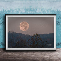 A framed photograph of a large, full moon in the night sky, with silhouetted trees and a blue sky in the background.
