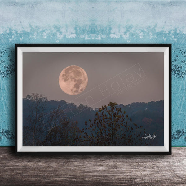 A framed photograph of a large, full moon in the night sky, with silhouetted trees and a blue sky in the background.