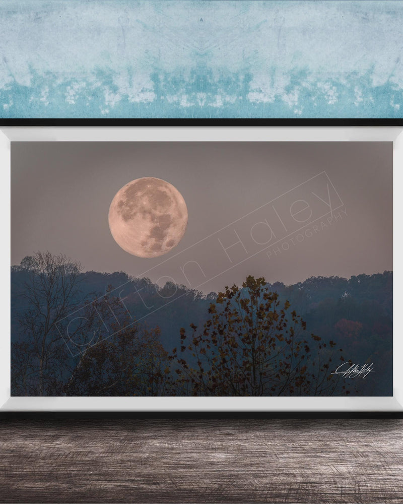 A framed photograph of a large, full moon in the night sky, with silhouetted trees and a blue sky in the background.
