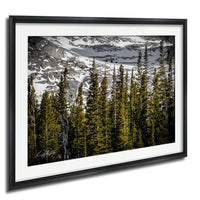 A framed photograph of a snowy mountain landscape with a dense forest of evergreen trees in the foreground.