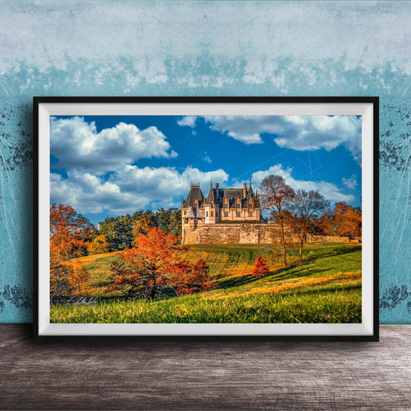 A framed photograph of a castle surrounded by a lush green hillside, with trees displaying autumn colors in the foreground.