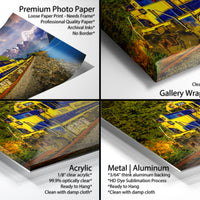 The image is a collage of four different printed materials, including a premium photo paper, a loose paper print, a gallery-wrapped canvas, and an acrylic print. Each material has a distinct appearance and quality, with the premium photo paper being clear and professionally printed, the loose paper print being a more rustic and handmade look, the gallery-wrapped canvas being a smooth and clean finish, and the acrylic print being a clear and ready-to-hang material.