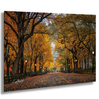A picturesque autumn scene in a park, with a tree-lined street and fallen leaves covering the ground.