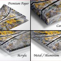 four different views of a piece of artwork, including a close-up of the artwork, a canvas wrap, an acrylic print, and a metal/aluminum print.
