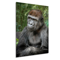 gorilla photography, silverback wall art, uganda jungle print, wildlife fine art, african nature decor, primate photo art, rainforest wall decor, safari home artwork, jungle wildlife print, gorilla portrait art, bwindi forest photo, african wilderness decor, nature lover gift, travel wall art, exotic wildlife image