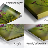 The image is a collage of four photos depicting different types of paper used for printing, including premium paper, canvas wrap, acrylic, and metal/aluminum.