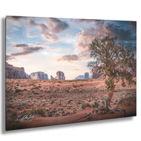 a desert landscape with a large tree in the foreground, surrounded by sand dunes and rock formations in the background. The sky is filled with clouds, creating a dramatic atmosphere.
