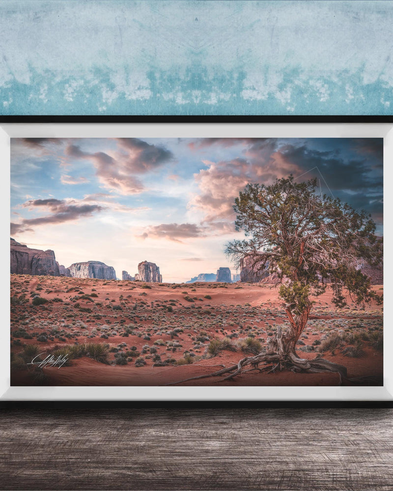 The image is a framed photograph depicting a desert landscape with a large tree in the foreground and mountains in the background under a cloudy sky.