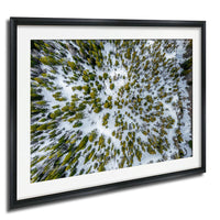The image is a framed aerial view of a snowy forest with a mix of green and white trees.
