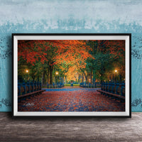 A framed photograph depicting a serene park scene with a path lined with trees displaying vibrant autumn foliage, creating a colorful canopy overhead.