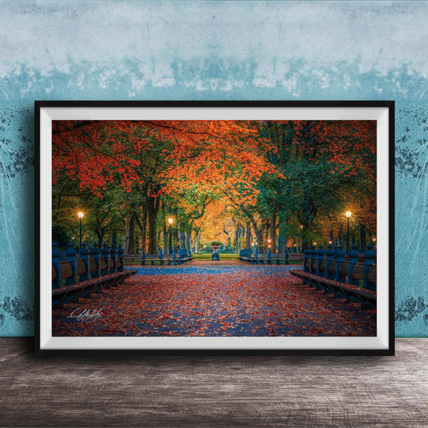 A framed photograph depicting a serene park scene with a path lined with trees displaying vibrant autumn foliage, creating a colorful canopy overhead.