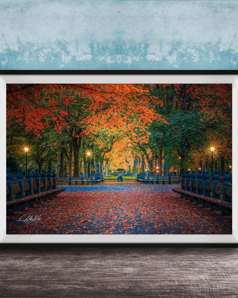 A framed photograph depicting a serene park scene with a path lined with trees displaying vibrant autumn foliage, creating a colorful canopy overhead.