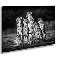 Maasai Mara wildlife, cheetah safari Kenya, Kenya travel photography, endangered big cats, African safari, black and white art