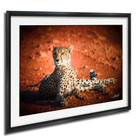 A cheetah resting on a reddish-brown surface, with its head turned to the side.