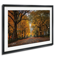 A picturesque autumn scene in a park, with a tree-lined path covered in fallen leaves. The trees display vibrant orange and yellow foliage, creating a warm and inviting atmosphere. The park is well-lit, with street lamps lining the path and benches for visitors to sit and enjoy the view. The image is framed and appears to be a high-quality print or photograph, capturing the beauty of the autumn season.