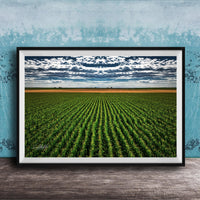 A framed photograph of a vast, lush green field with rows of crops stretching out into the distance, set against a cloudy sky.