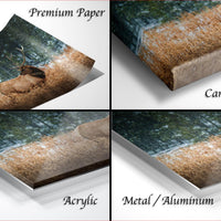 The image is a collage of four different views of a printed canvas wrap featuring a deer in a wooded area.