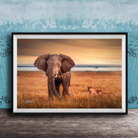 A large elephant stands in a grassy field, with two smaller lions in the background, against a backdrop of a blue sky with clouds.