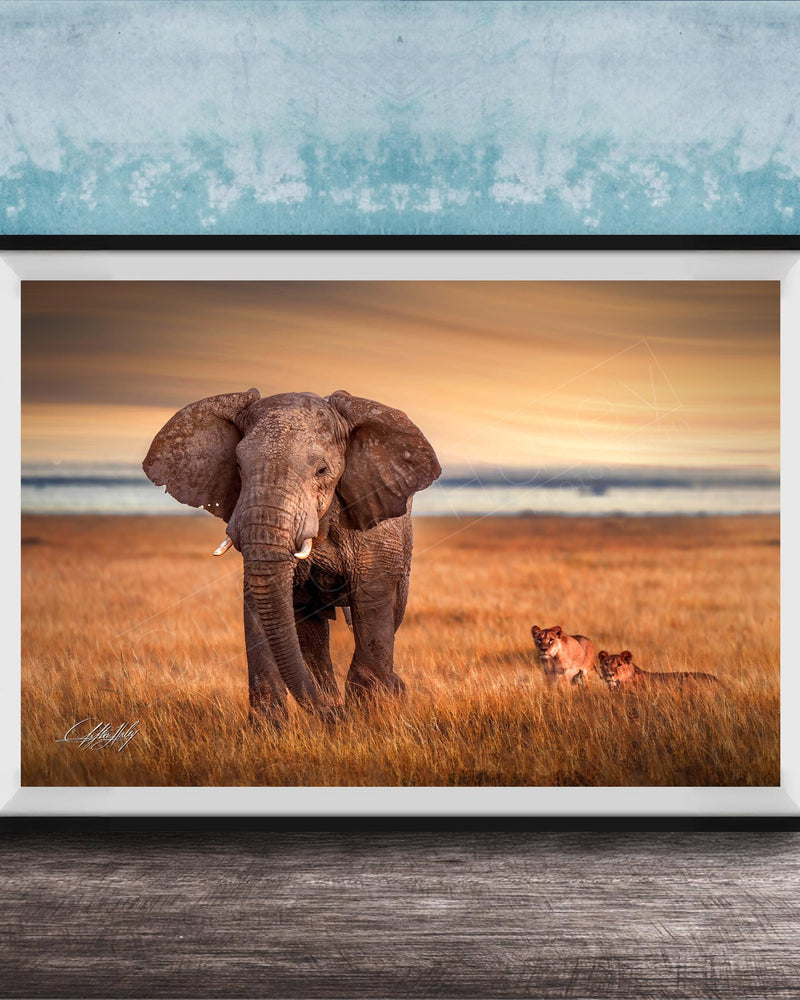 A large elephant stands in a grassy field, with two smaller lions in the background, against a backdrop of a blue sky with clouds.