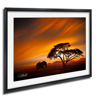 A lone elephant stands silhouetted against a vibrant sunset sky, with a tree in the foreground.