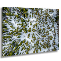 The image is an aerial view of a snowy forest with a mix of green and yellow trees.