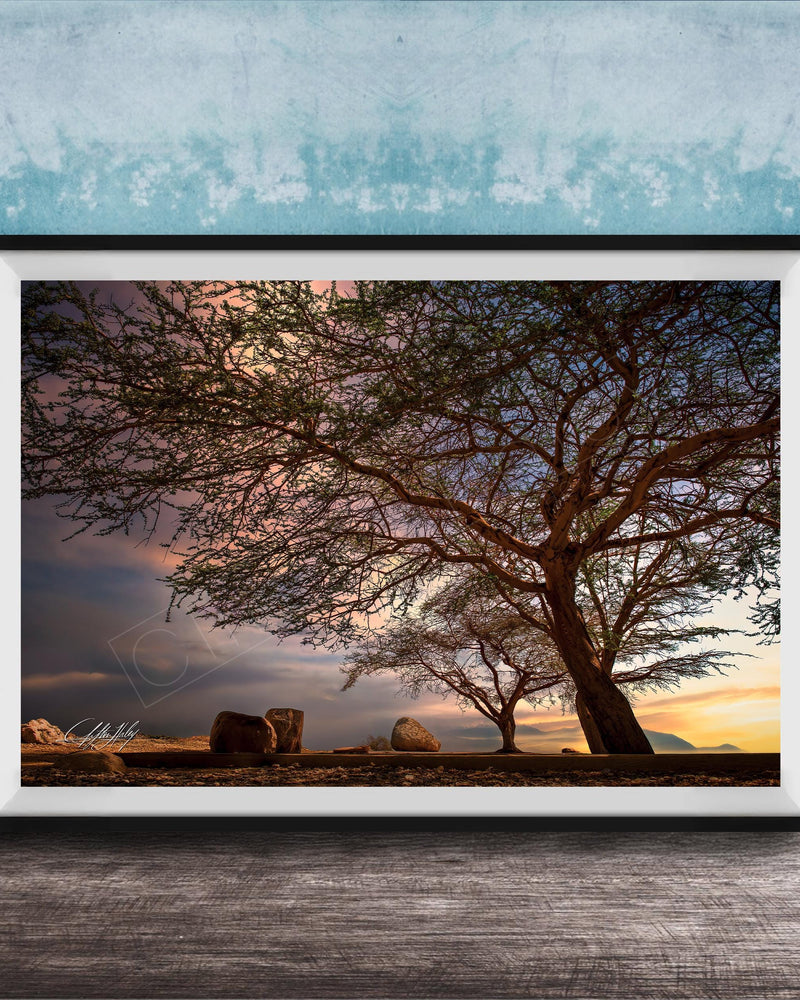 A framed photograph depicting a serene landscape with a large tree silhouetted against a colorful sunset sky, with rocks and a calm body of water in the foreground.
