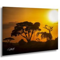 a serene sunset over a landscape, with silhouetted trees and a warm, golden glow in the sky.