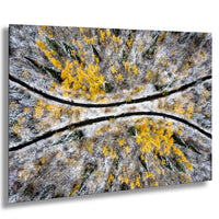 The image is an aerial view of a snowy forest with yellow trees, showcasing the contrast between the white snow and the vibrant yellow foliage.