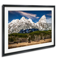 A framed photograph depicting a serene mountain landscape with snow-capped peaks, a lush green forest, and a herd of horses grazing in the foreground.
