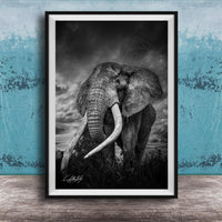 A majestic elephant stands tall in a grassy field, its large tusks and trunk prominently displayed against a dramatic cloudy sky.
