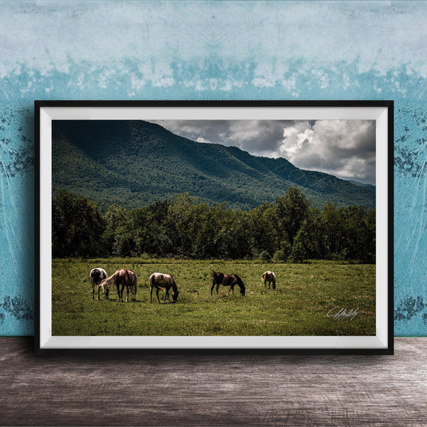 A framed photograph depicting a group of horses grazing in a grassy field with mountains in the background.