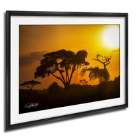 a serene sunset over a landscape, with silhouetted trees against a vibrant orange sky.