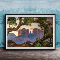 a scenic view of a mountain range with a large rock formation in the center, surrounded by lush greenery and a tree branch framing the scene.