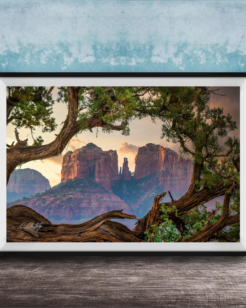 a scenic view of a mountain range with a large rock formation in the center, surrounded by lush greenery and a tree branch framing the scene.
