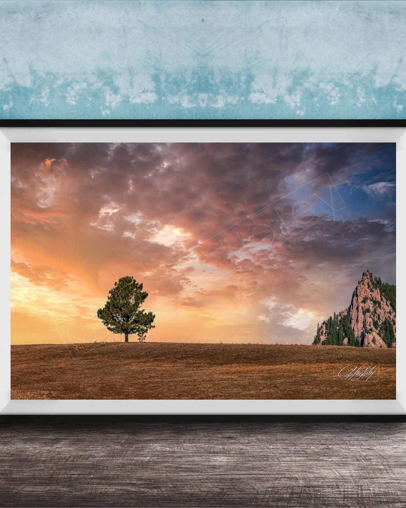 a serene landscape with a lone tree standing in a field, set against a dramatic sky filled with clouds and a mountain in the distance.