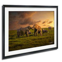 A group of elephants standing in a grassy field, with one elephant in the foreground appearing to be interacting with another elephant. The sky is filled with clouds, and the sun is setting, creating a warm, golden glow over the scene.
