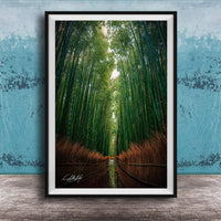 A framed photograph of a serene bamboo forest, with tall green bamboo stalks stretching out into the distance and a small stream running through the center of the frame.