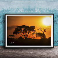 A framed photograph depicting a serene sunset over a landscape with silhouetted trees against a vibrant orange sky.