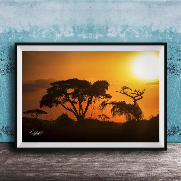 A framed photograph depicting a serene sunset over a landscape with silhouetted trees against a vibrant orange sky.