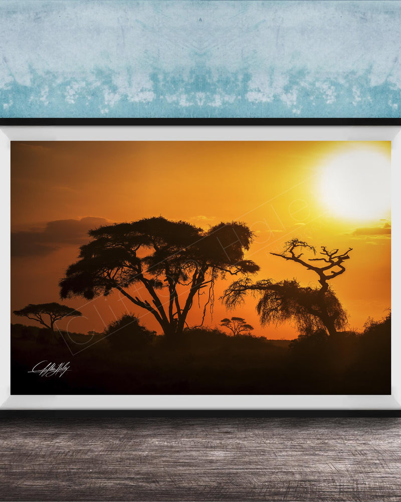 A framed photograph depicting a serene sunset over a landscape with silhouetted trees against a vibrant orange sky.