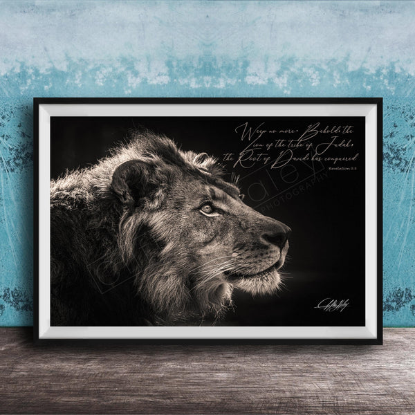 A framed black and white photograph of a lion's head, with a text overlay that reads "Weep no more. Behold the Lord of the tables of Jacob. The rich of David has overcome."