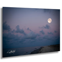 a serene night scene at the beach, with a full moon illuminating the sky and a cloudy, dark blue sky.