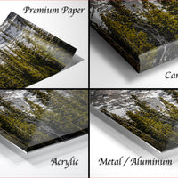 The image is a collage of four different images, each depicting a forest scene. The images are labeled as "Premium Paper", "Canvas Wrap", "Acrylic", and "Metal/Aluminum".