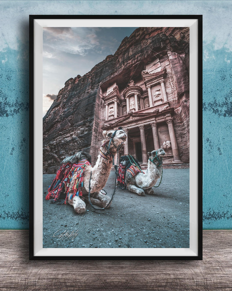 A framed photograph of two camels in front of a large, ancient building with a carved facade, set against a blue wall.