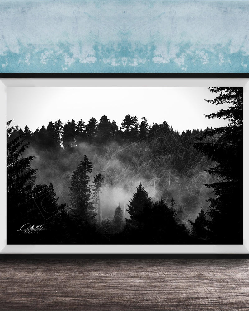 A black and white photograph of a forest landscape with misty mountains in the background.