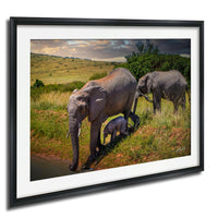 A family of elephants, including a large adult and a smaller calf, are walking along a grassy path near a body of water in a natural setting.