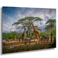 Maasai Mara wildlife, giraffes in Kenya, zebra herd Africa, acacia tree sunset, African safari photography, Kenya travel photography, Maasai culture, wildlife photography Africa, golden hour safari, African landscape, best wildlife shots, zebra and giraffe photo, nature photography Kenya