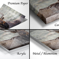 The image is a collage of four different views of a deer, each with a different finish: "Premium Paper", "Canvas Wrap", "Acrylic", and "Metal/Aluminum".