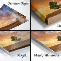 The image is a collage of four different images, each depicting a landscape scene with a tree. The images are labeled as "Premium Paper", "Canvas Wrap", "Acrylic", and "Metal/Aluminum".